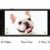 Furbo Hunde - Katzen Kamera Haustierkamera mit Leckerli Ausgabe