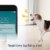 Furbo Hunde - Katzen Kamera Haustierkamera mit Leckerli Ausgabe