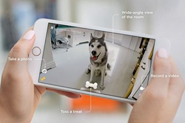 Petcube Bites Pet Camera Tierkamera mit Belohnung