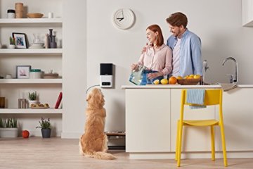 Petcube Bites Pet Camera Tierkamera mit Belohnung