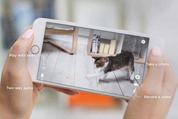 Petcube Play Hunde / KatzenKamera mit Laser Spielfunktion 