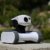 Riley Appbot - Roboter mit Sicherheits Kamera fernsteuerbar