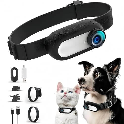 Weihnachts Halsband Für Haustiere – Rot-grün, Verstellbar Größe S (30 Cm Halsumfang) Für Katzen & Hunde