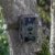 Berger + Schröter 12 MP Wildkamera, 32 GB, Full HD, camo, 1 Stück (1er Pack) - 4