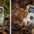 Rollei Wildkamera HD-30 mit 4K-Auflösung – 48 MP Fotos, Bewegungserkennung, Nachtsicht, 2'' IPS-Display, Serienaufnahme, Intervallaufnahme, Camouflage-Design, Einfache Montage & Passwortschutz - 8
